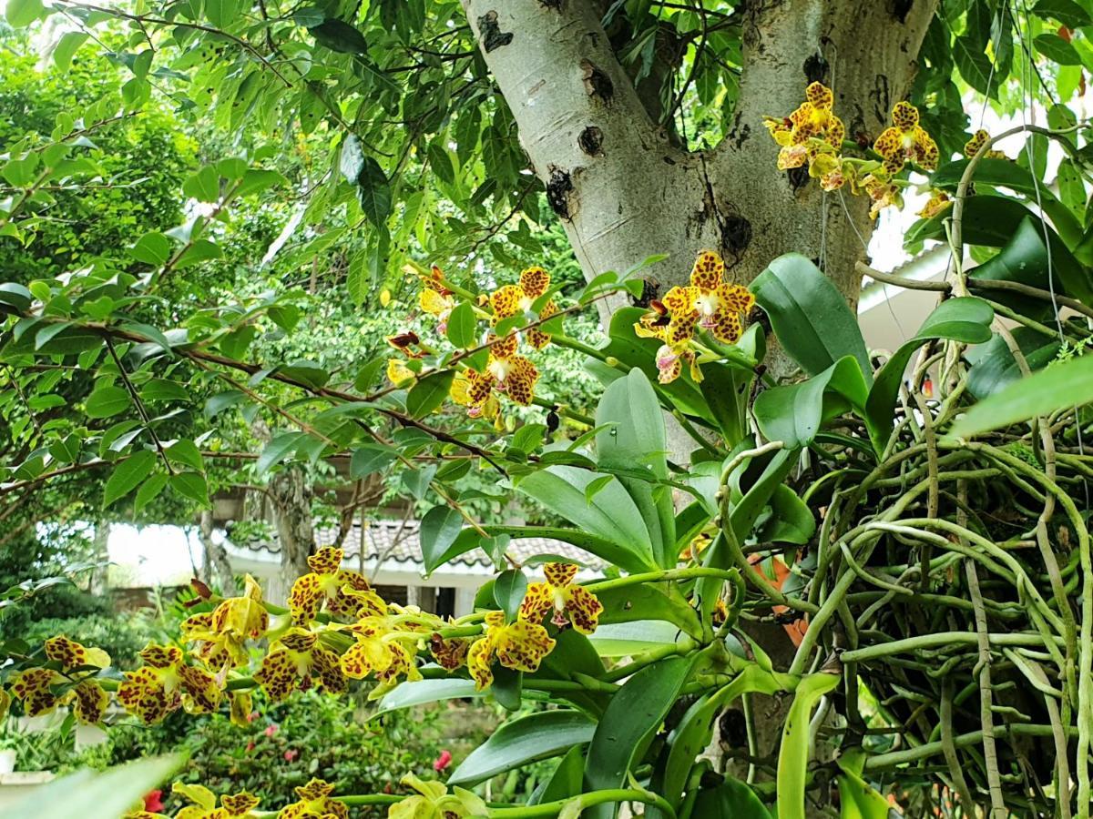 Villa Dieu Thong - Secrect Garden, View San May Va Nui Dalat Bagian luar foto